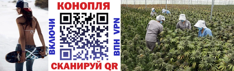 Наркотические вещества Чадан Каннабис  КОКАИН  hydra ONION  Гашиш 