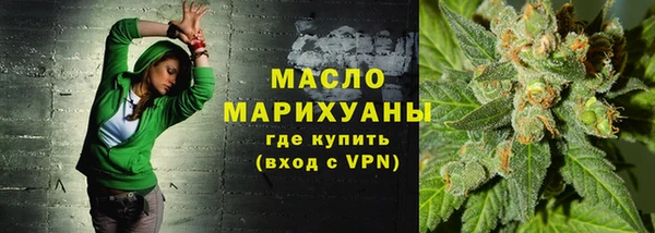 индика Краснотурьинск