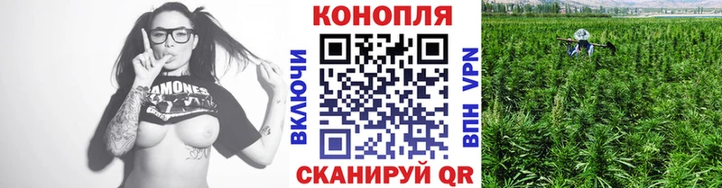 мориарти наркотические препараты  Чадан  Канабис конопля  ОМГ ОМГ вход 